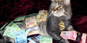 Czy hodowla to opłacalny biznes?